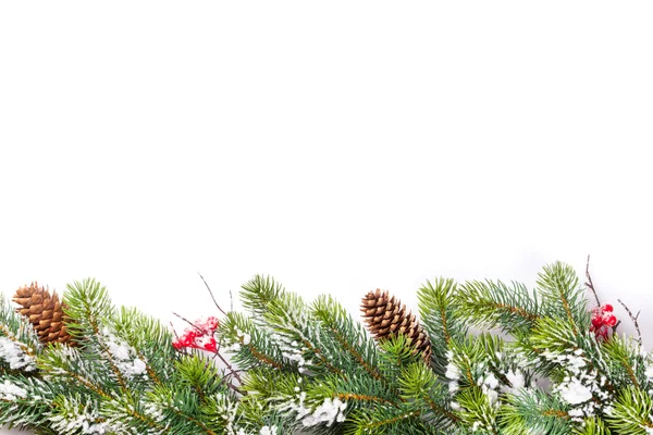 Kerstboom tak met sneeuw — Stockfoto