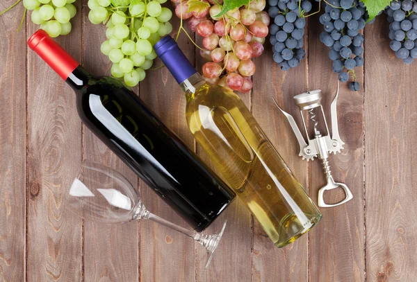 Bunch of grapes and wine bottles — Stock Photo, Image