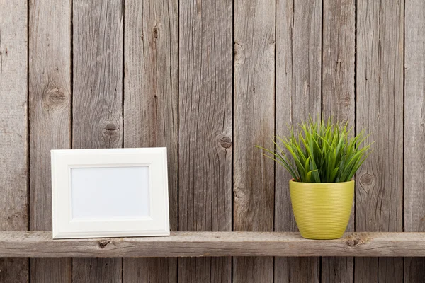 Blank photo frame and plant — Stock Photo, Image