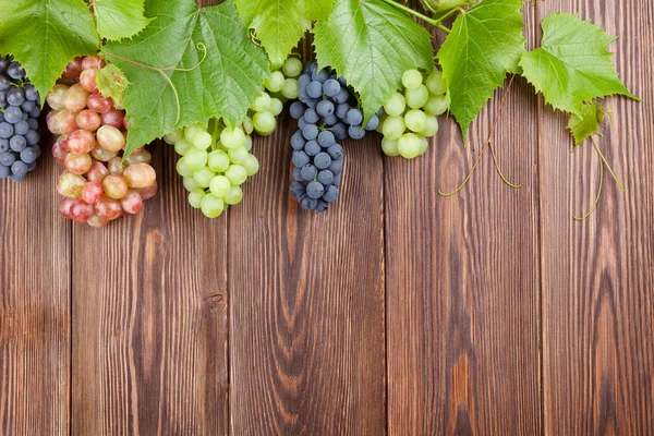 Ramo de uvas de colores con hojas — Foto de Stock