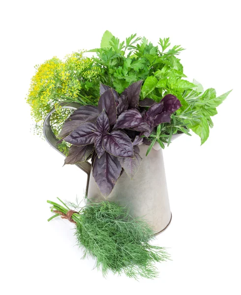 Fresh garden herbs in watering can — Stock Photo, Image