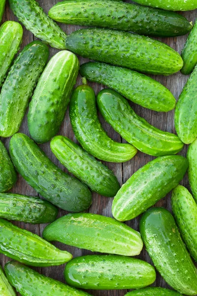 Pepinos maduros en la mesa —  Fotos de Stock