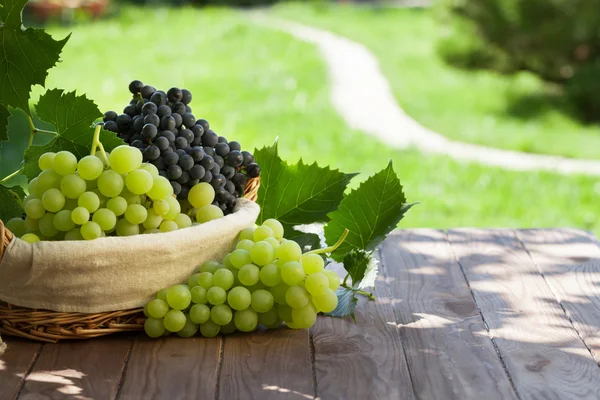 Raisins bleus et blancs dans le panier — Photo