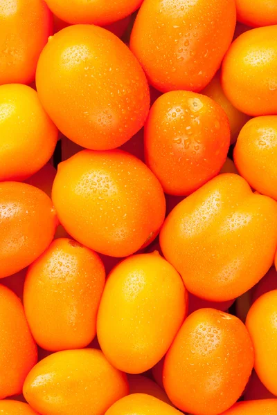 Świeże pomidory ogród pomarańczowy — Zdjęcie stockowe