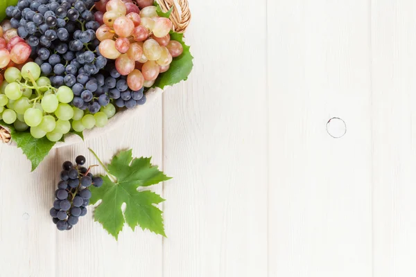 Bunches of red, purple and white grapes — Stockfoto