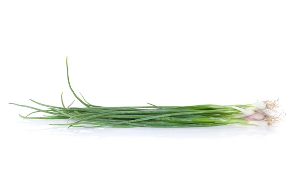 Fresh garden herbs. Spring onion — Stock Photo, Image