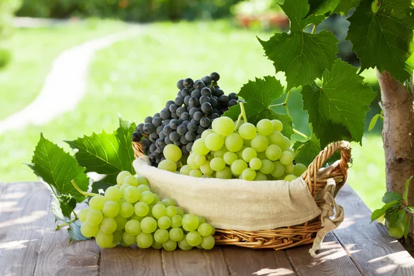 Uvas rojas y blancas en canasta —  Fotos de Stock