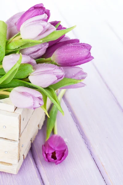 Boîte de tulipes violettes — Photo