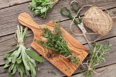 taze Bahçe otlarverse tuinkruiden