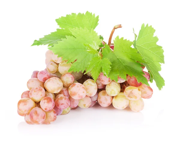 Bunch of red grapes with leaves — Stock Photo, Image