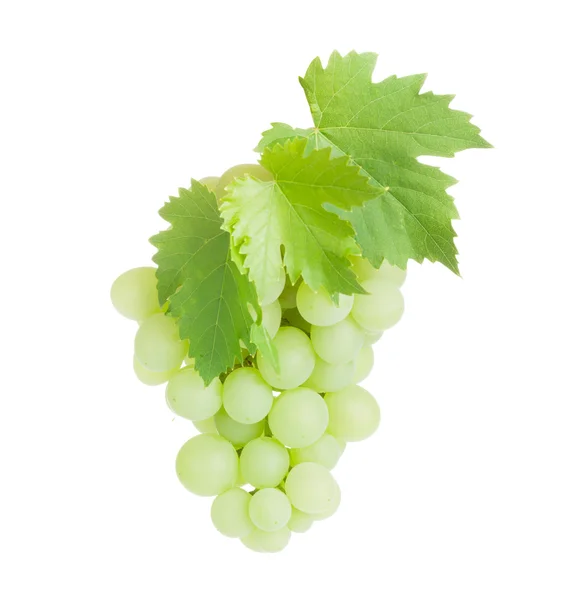 Bunch of white grapes with leaves — Stock Photo, Image