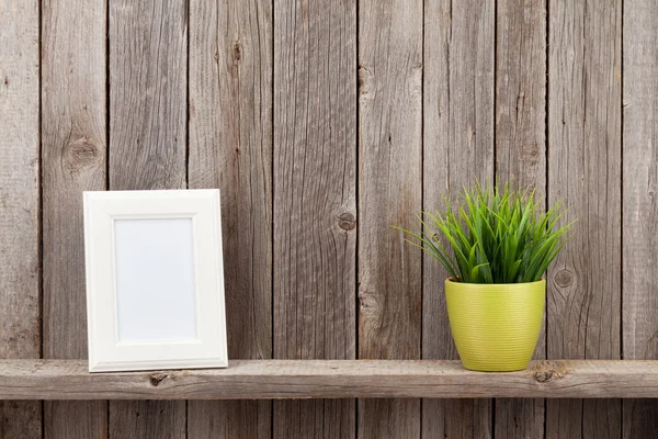 Blank photo frame and plant — Stock Photo, Image