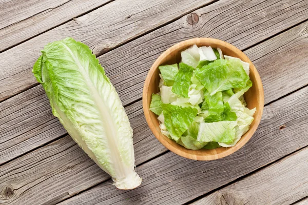 Fräsch frisk romaine sallad sallad — Stockfoto