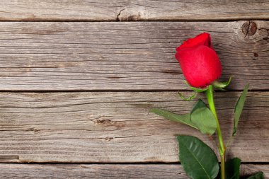 ahşap üzerine kırmızı gül