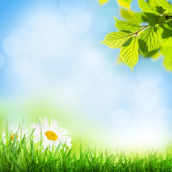 Abstracte zonnige voorjaar achtergrond — Stockfoto