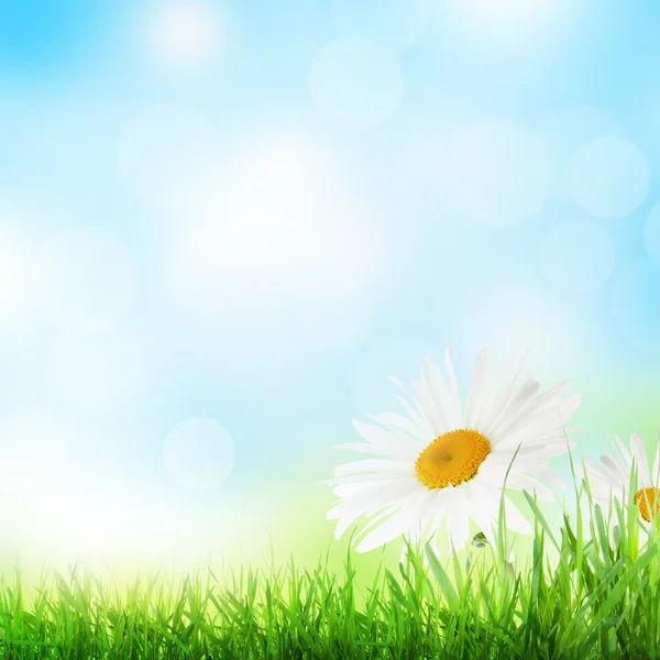 Abstracte zonnige voorjaar achtergrond — Stockfoto