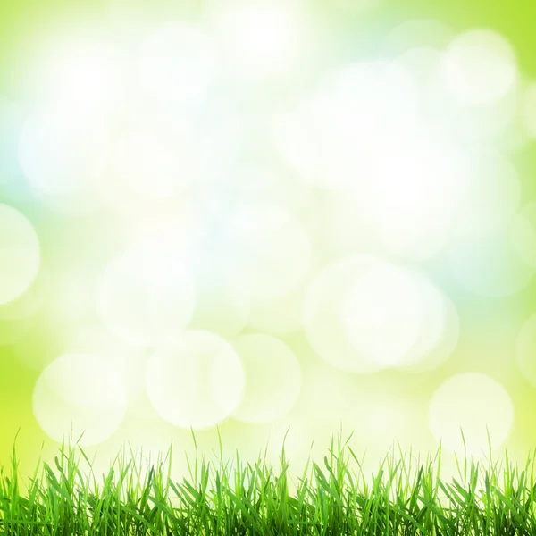 Abstract sunny spring background — Stock Photo, Image