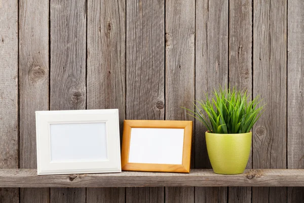Blank photo frames and plant — Stock Photo, Image