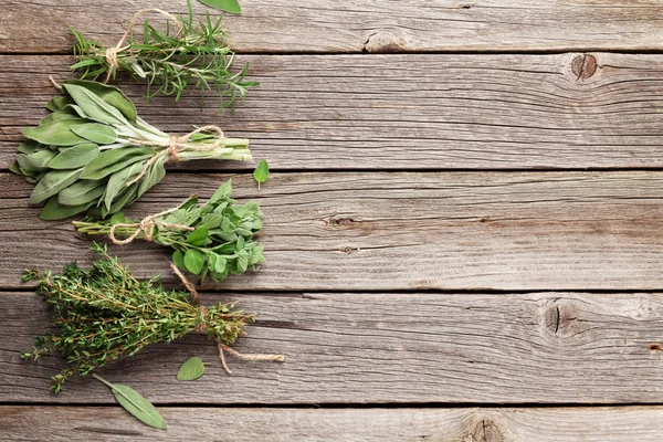 Herbes de jardin fraîches — Photo