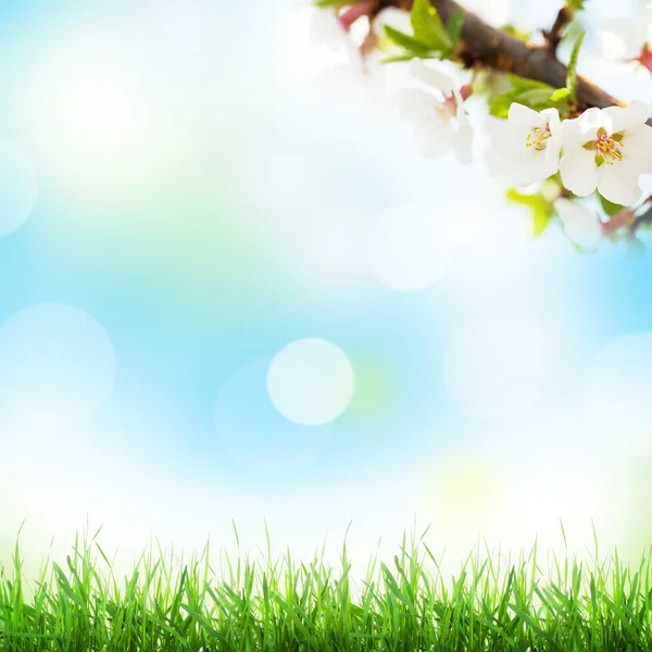 Abstract sunny spring — Stock Photo, Image