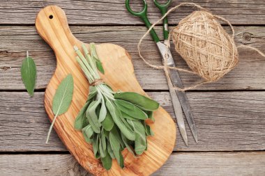 Bahçe adaçayı bitki demet