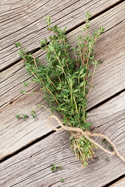 Stelletje tuin tijm kruiden — Stockfoto