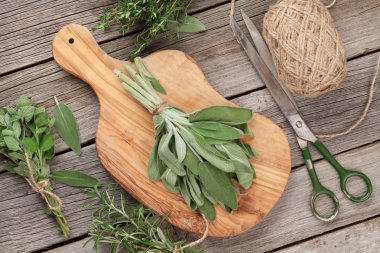 taze Bahçe otlarverse tuinkruiden