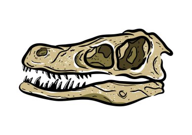 Biçimlendirilmiş Velociraptor fosilleştirilmiş kafatası el resmi beyaz arka planda izole edilmiş. Grafiksel klasik dinozor kafatasları, vektör retro çizimi. Tişört amblemi için ideal.
