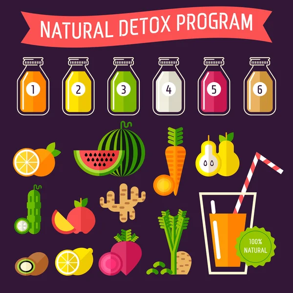 Programa de desintoxicação natural — Vetor de Stock