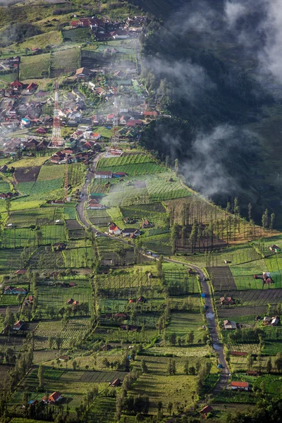 Highland pueblo de Cemoro Lawang — Foto de Stock