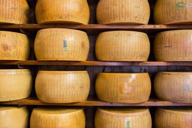 tipik İtalyan zor Parmesan peyniri 
