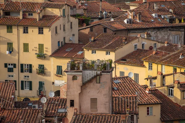 Dachy miasta i domy, Lucca, — Zdjęcie stockowe