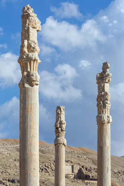 Стародавні колони в місті Персеполіс — стокове фото