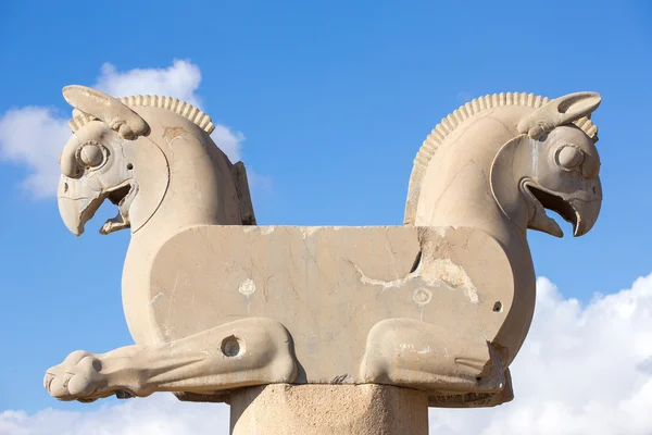 Achämenide Greifvögel oder Homöopathie in Persepolis — Stockfoto