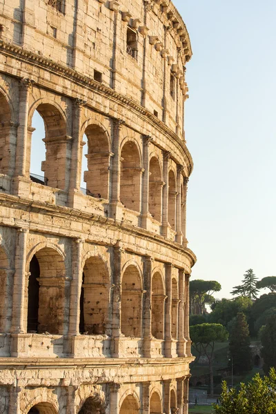 Colosseum, a reggeli fényben — Stock Fotó