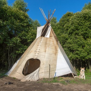 Ormandaki tek, yalnız teepee