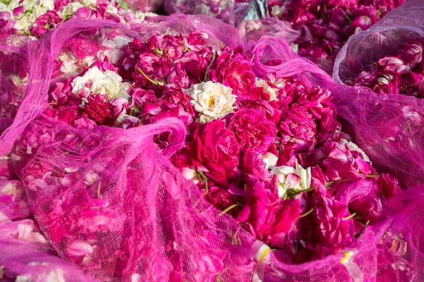 Kwiatów róży na sprzedaż na rynku ulicy — Zdjęcie stockowe