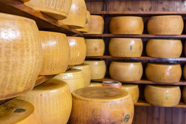 Queijo parmesão duro italiano típico — Fotografia de Stock