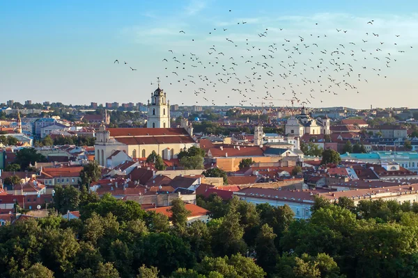 Sommar i Vilnius, centrum — Stockfoto