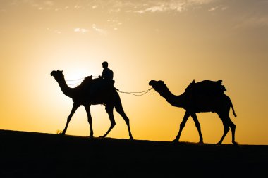 Develer siluet dunes içinde