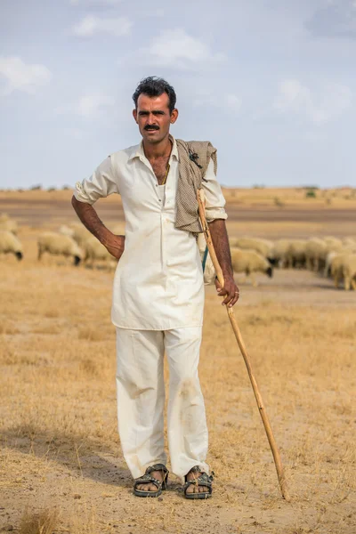 Rajasthani hirte mit seinen schafen — Stockfoto