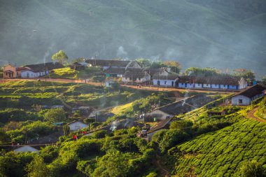 Munnar çay tarlaları çiftlik işçileri için evleri