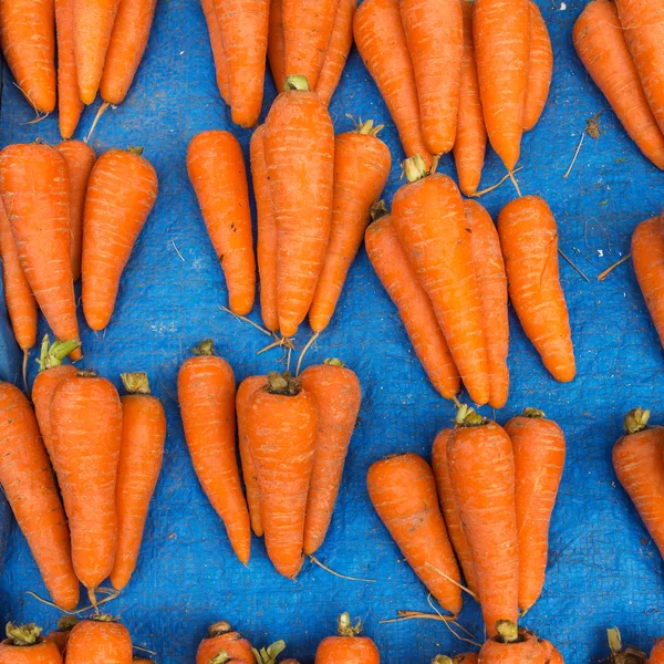 Fresh carrot batches — Stock Photo, Image