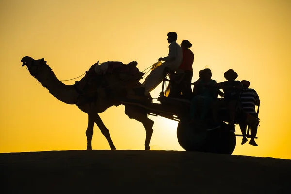 Silhueta de camelo com o vagão em dunas — Fotografia de Stock