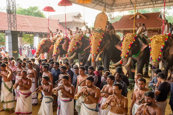 Siva Tapınağı, Ernakulam, Kerala, Hindistan 'daki tapınak festivalinde filler süslenmiş. — Stok fotoğraf