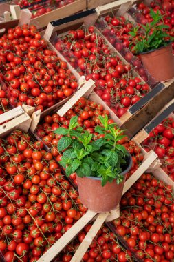 Sicilya, İtalya 'daki çiftçi pazarında bir sürü domates var.