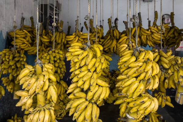 Variedad de plátanos en la tienda de plátanos en Kerala, India —  Fotos de Stock