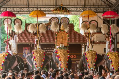 Hindistan 'ın Kerala eyaletinin Ernakulam kentindeki Siva tapınağında düzenlenen yıllık tapınak festivaline madalyalı filler katılıyor.