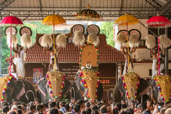 Hindistan 'ın Kerala eyaletinin Ernakulam kentindeki Siva tapınağında düzenlenen yıllık tapınak festivaline madalyalı filler katılıyor. — Stok fotoğraf