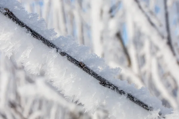 Verschneite Äste in Nahaufnahme, winterlicher Hintergrund — Stockfoto